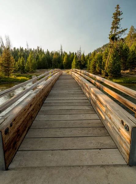 Drewniany most stóp prowadzi przez strumień w Puszczy Idaho — Zdjęcie stockowe
