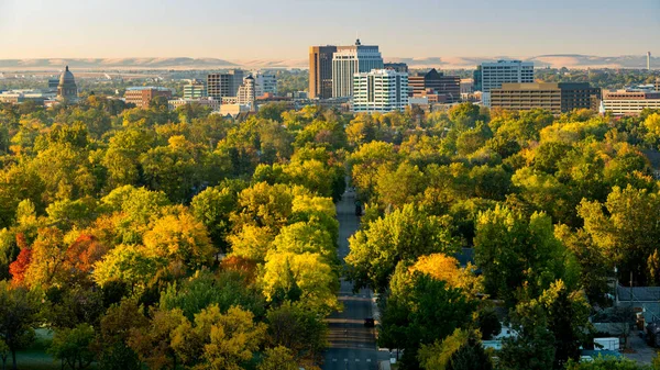 Yılın sonbahar zamanında ağaçların silueti şehir