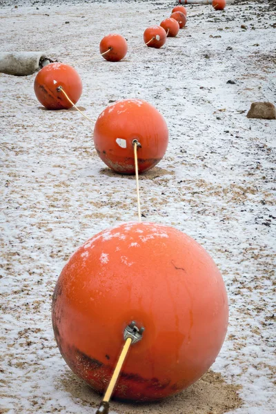 Bolas de bóia laranja no inverno da costa com neve no chão — Fotografia de Stock