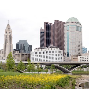 Br ile bir parkta sarı çiçeklerile Columbus Ohio Binalar