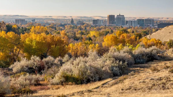 Vally rempli d'arbres d'automne et l'horizon de Boise Idaho — Photo