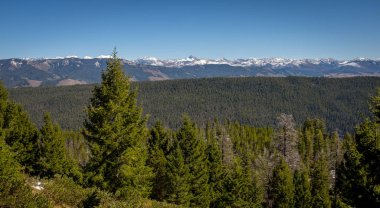 Idaho orman ve karlı Beyaz Bulut dağlar Idaho