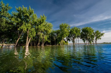 Mavi gökyüzü kenarında ağaçları çevreleyen su yansıtır o