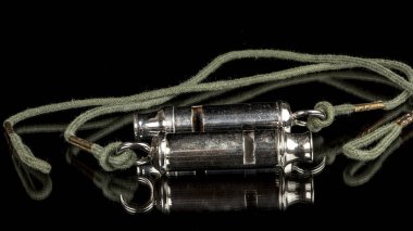 Onlara bağlı yeşil dizeleri ile Gümüş ıslık 