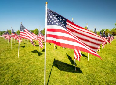 Birçok Amerikan bayrakları kutuplarda rüzgarda blosing