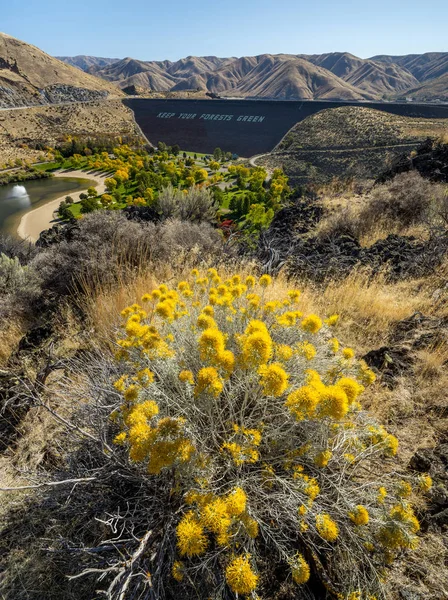 Lucky Peak Dam and sage brush in full fall color — Stock Photo, Image