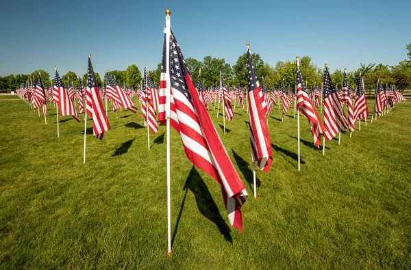 바람에 부는 미국 국기로 가득 한 도시 공원 — 스톡 사진