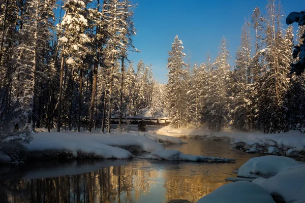 Bosque cubierto de nieve en invierno con un puente de madera — Foto de Stock