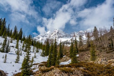 Bulutlar ve orman ile Colorado kayalık dağlar