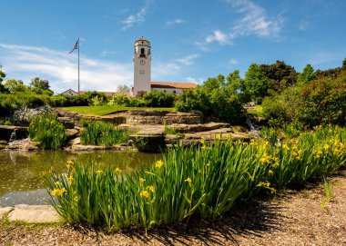 Şehir parkında tren istasyonu Boise ile sarı nergisler