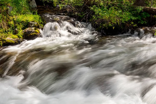 Slow motion water flowes in a creek Idaho wilderness — Stock Photo, Image