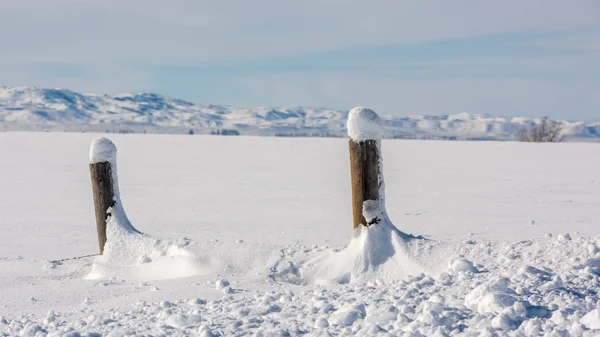 Zimowa preria pokryta śniegiem z słupami ogrodzeniowymi — Zdjęcie stockowe