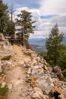 Kırmızı sırt çantası olan adam ormana doğru bir dağ patikasına tırmanıyor.