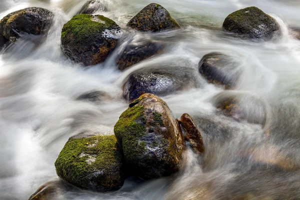 Moss pokryli skály v cestě vody z potoka — Stock fotografie