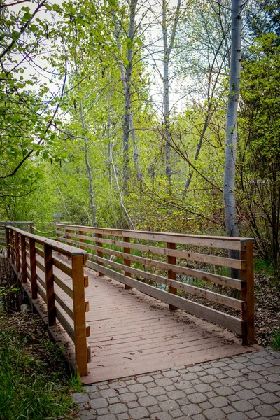 Puente de pie en un parque de la ciudad paseo por la naturaleza — Foto de Stock