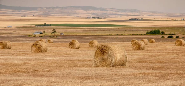Роллированные тюки сена на ферме в Айдахо — стоковое фото