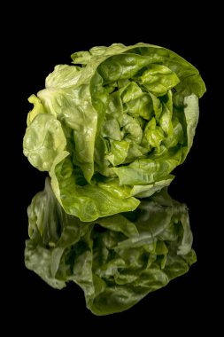 Marul süslü kafa ve yansıma