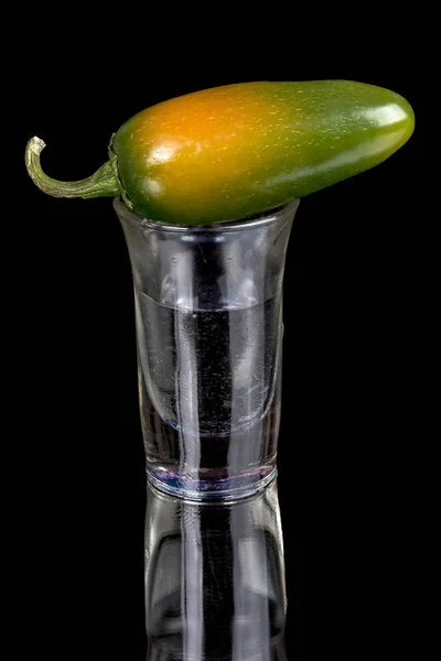 Papryka jalapeno na kieliszek z tequili — Zdjęcie stockowe