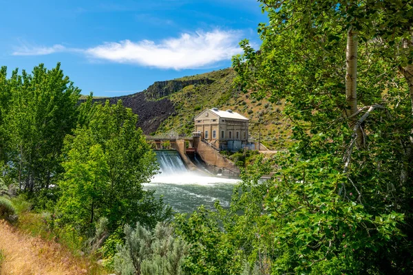 Forest along the Boise river with Diversion Dam seen through — Stock Photo, Image