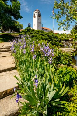Mavi Iris çiçekler ve şehir parkında tren deposu
