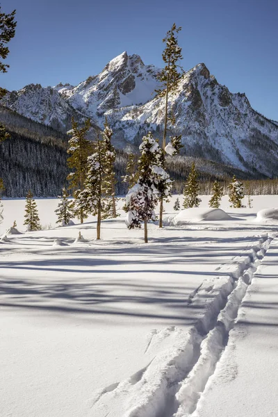 Senderos de esquí de fondo conducen a las montañas de Idaho — Foto de Stock