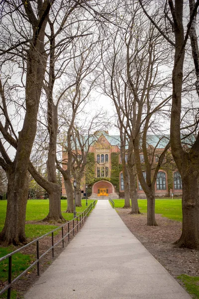 Hosszú járdán a fák által lefedett Egyetemen — Stock Fotó