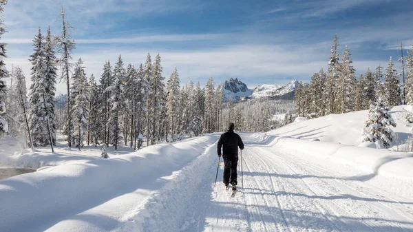 Esquiador de fondo se mueve hacia las montañas en invierno — Foto de Stock