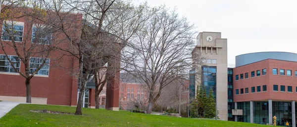 Biblioteca da Universidade e torre do relógio no tempo da primavera — Fotografia de Stock