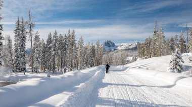 Ormana giden bir patikadan aşağı sling