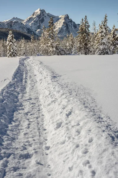 Sendero de motos de nieve conduce a las montañas — Foto de Stock