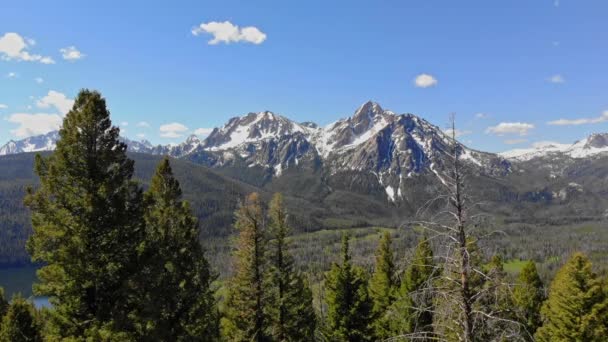 Blå Himmel Med Moln Över Den Skogsklädda Vildmarken Idaho Sommaren — Stockvideo