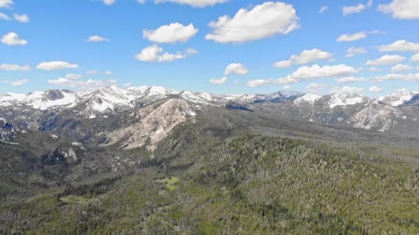 Arbres Forestiers Sains Morts Comme Survol Vers Sommet Montagne Avec — Video