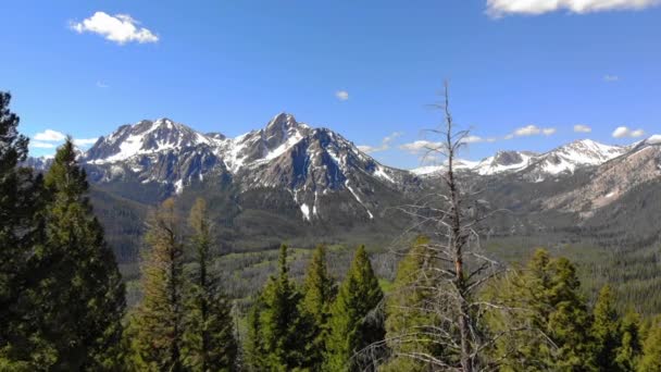 Vuele Través Los Árboles Bosque Verde Idaho Hacia Pico Mcgown — Vídeos de Stock