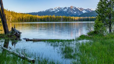Birkaç yaban çiçekleri ile Idaho yüksek dağ Gölü üzerinde günbatımı