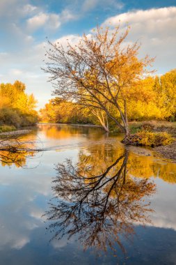 Sonbahar renkli ağaçlar ile Boise Nehri