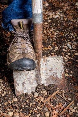 Bahçıvan toprak içine metal bir kürek ile çalışır