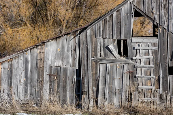 Famers rustikální stará stodola s vrbovou větví — Stock fotografie