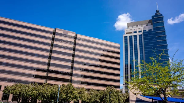 Boise nos edifícios de primavera e céu azul — Fotografia de Stock