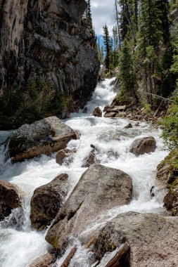 Idaho vahşi doğada vahşi nehir ve şelale