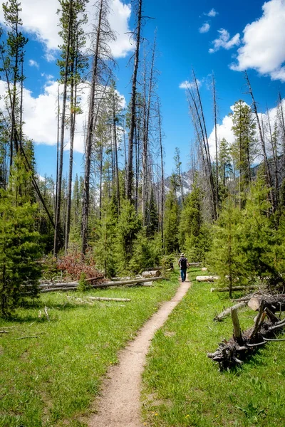 Camino de la suciedad conduce a la naturaleza de Idaho con un excursionista — Foto de Stock