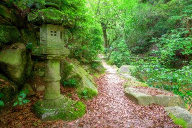 Pagoda Fener yürüyen bir pat yanında yosun ile kaplı