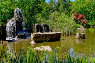 Ağaçlar çalılar ve bir gölet çeşme ile şehir parkı