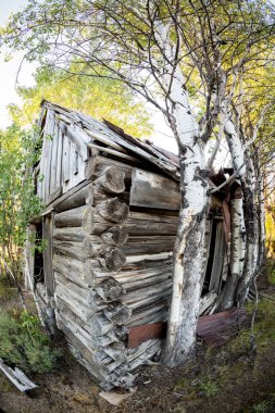 Eski bir kütük kabinde benzersiz prespective