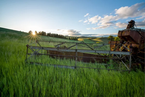 Spring crops with an old combine and morning sun star — Stock Photo, Image