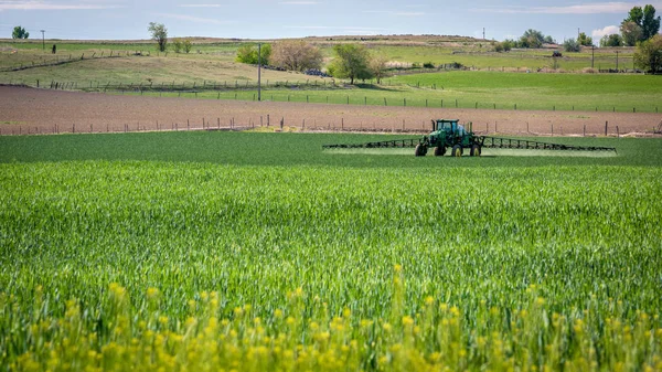 Tractor sprays crops in the spring