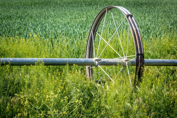 Farmers sprinkler parts in a field of crops — Stock Photo, Image