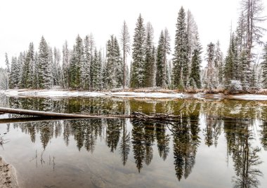 Sargı Idaho Nehri boyunca karla kaplı orman