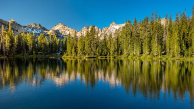 Yeşil çam ağaçları yüksek Mountian Gölü yansıma
