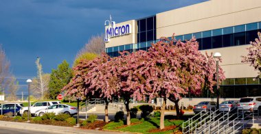 Micron Technology 'de akan bahar ağaçları 