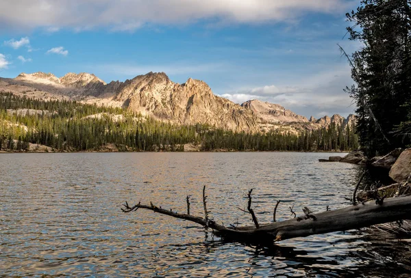 Imogene Lake Idaho Morgenbesinnung mit Baumstamm — Stockfoto